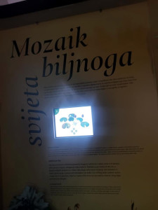 488562860 29827531110167390 6677200081662147219 n 